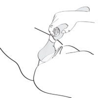 SHUNGA - ZOA - immagine 5