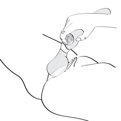SHUNGA - ZOA - immagine 5