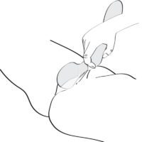 SHUNGA - ZOA - immagine 6