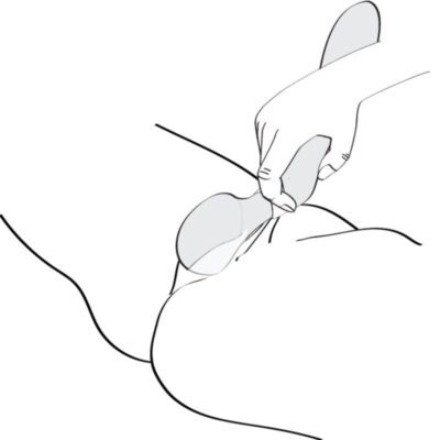 SHUNGA - ZOA - immagine 6